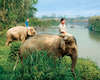 Four Seasons Tented Camp Golden Triangle 